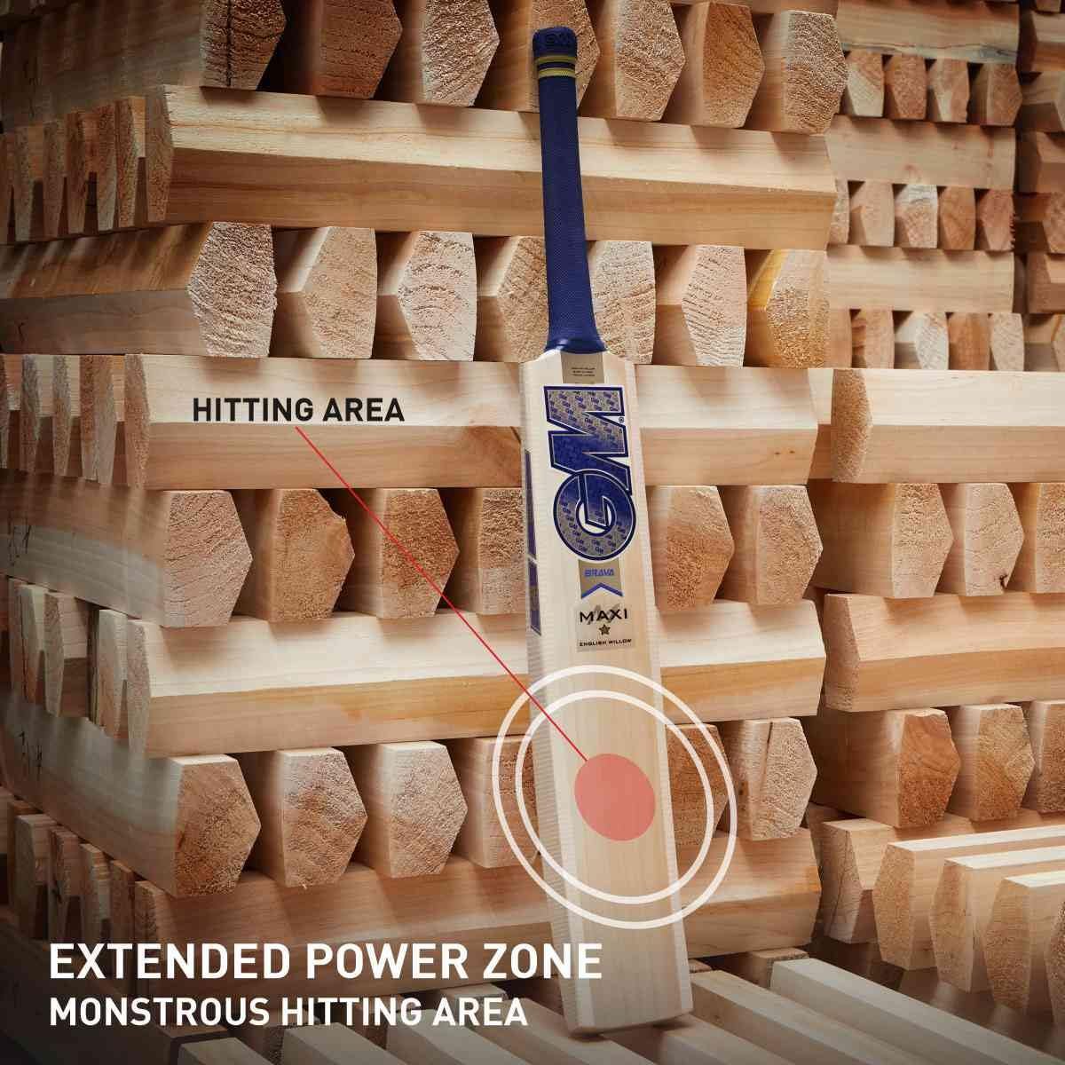 GM Brava Maxi English Willow Cricket Bat for Mens, Size - Mens